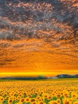 welcome spring 🥰