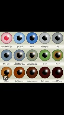 eye colors 