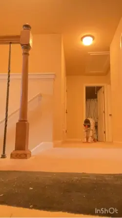 Hai