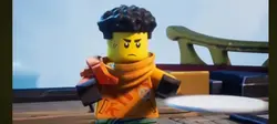 Best ninja