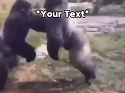 Monkey Meme