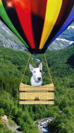 Flying Balloon