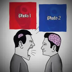 Small vs big brain