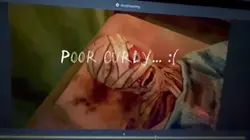 (My footage)