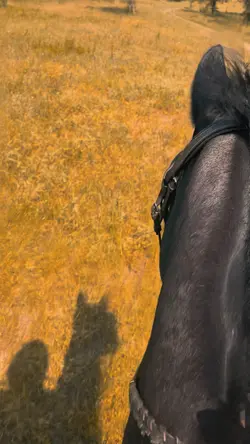 Galloping>>>>