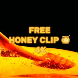 FREE HONEY CLIP