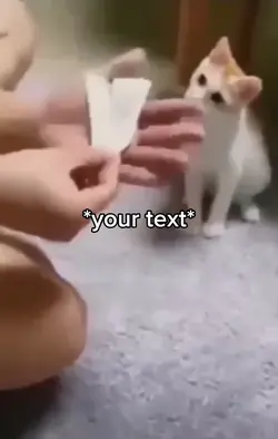 Cat scared meme