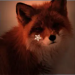 Foxcore 