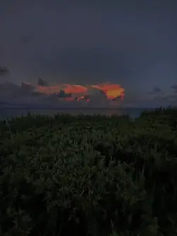 nice sunset 
