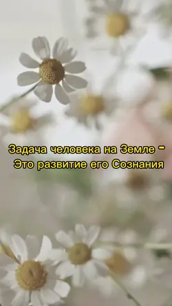 Задача Человека