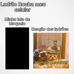 Vamos Devolver 