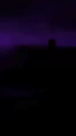 Vi que era 
