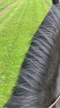❤️❤️