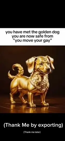 Golden dog