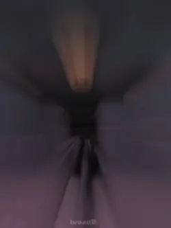 Jadens compity