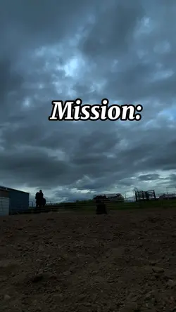 Mission faile