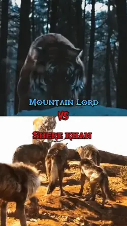 1 vs 1