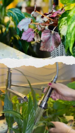 Papel rasgado 