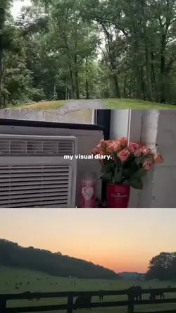  my digital diary 