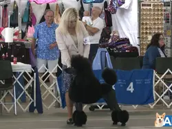 <3