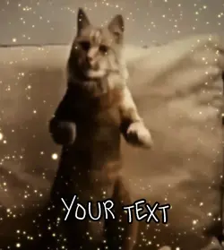 Rad kitty 
