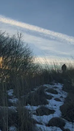 Hiking