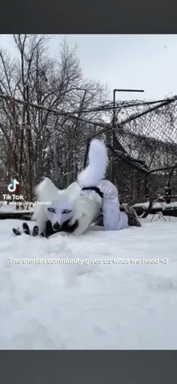 therian community 