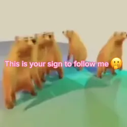 Bears 
