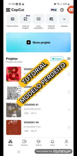 Dica modelo perfeito