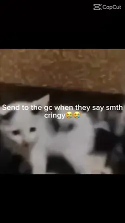 ÆHaA hÄ ha hAæäãAÄ