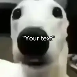 Scared dog meme