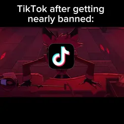 TikTok Ban Aftermath