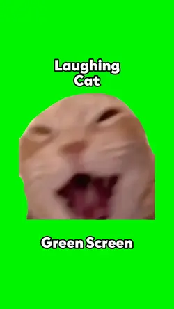 Laughing Cat