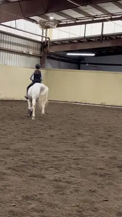 ⚠️AI HORSE⚠️