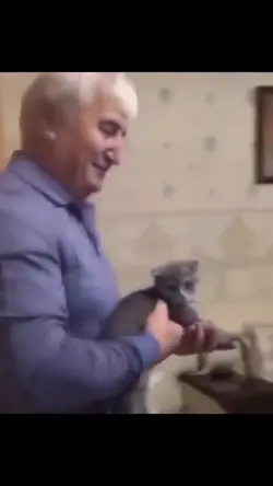 Carinhoso com o gato