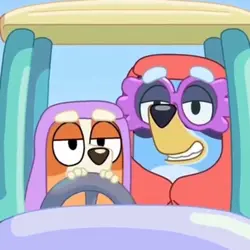 Funny bluey