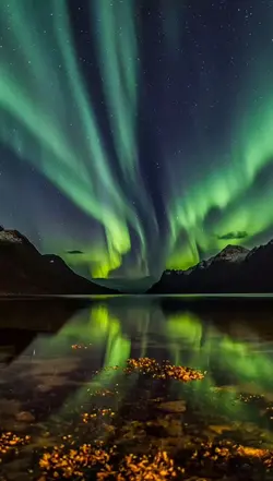 Aurora sky 