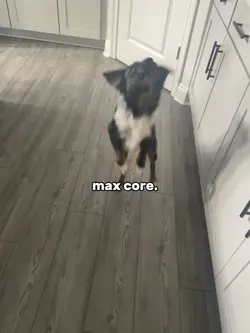 MAX COREE