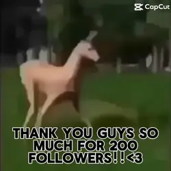 Deer xD
