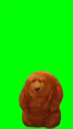 oso
