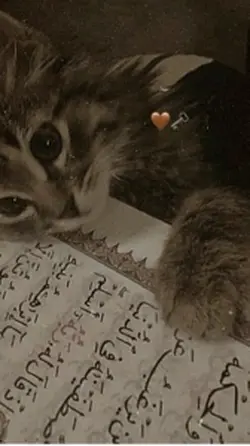 پروردگارا🤲🏾🤎
