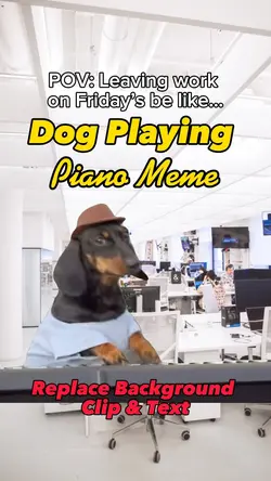 Dog Playing Piano