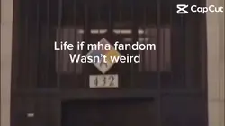 Daily meme part 4