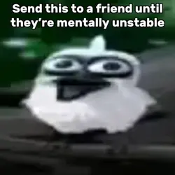 Bird Screaming
