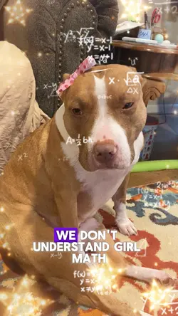 Dog Math part-2