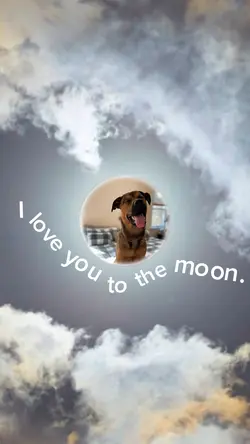 ✨To The Moon ✨