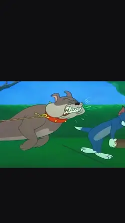 Tom and Jerry 