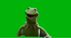 Kermit the frog 