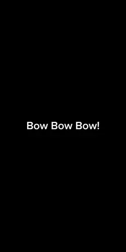 Bow Bow Bow