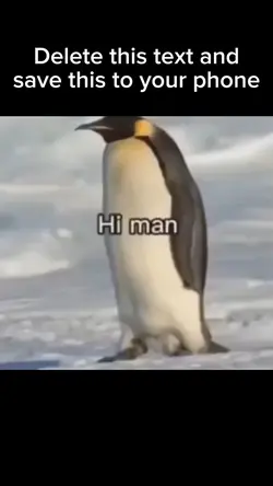 Penguin man